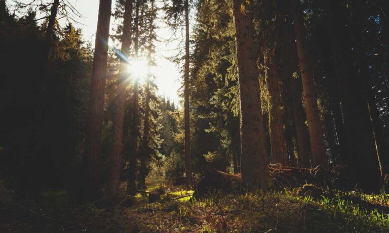 can genrodot game run on pc