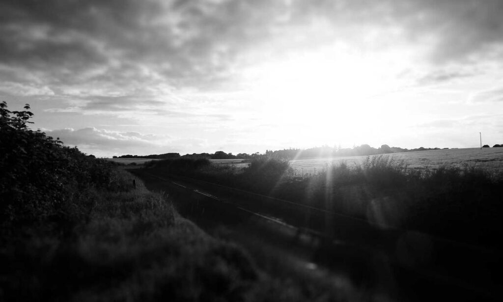 play version caladriusapk20192