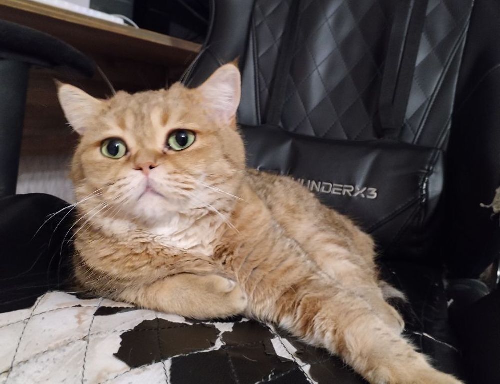 what zayepro pharmaceuticals ltd about