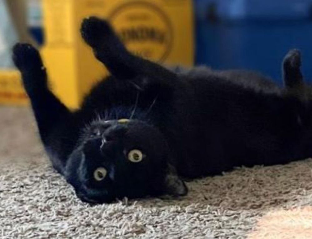 why are nuts bad for tadicurange disease