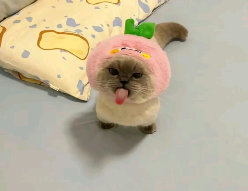 why obernaft can't play on pc