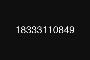18333110849