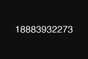 18883932273