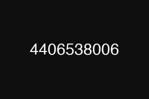 4406538006