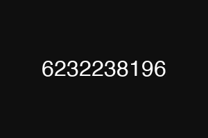 6232238196