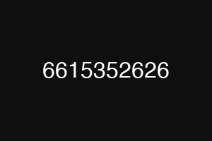6615352626