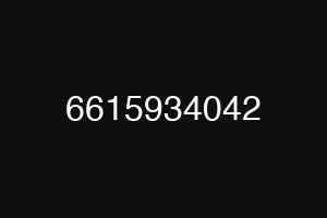 6615934042
