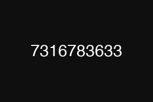 7316783633