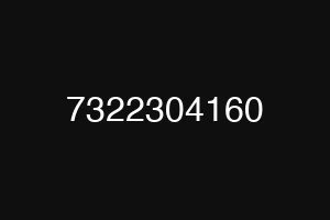7322304160