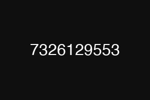 7326129553