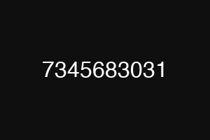 7345683031