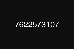 7622573107