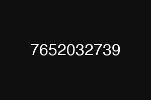 7652032739