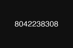8042238308