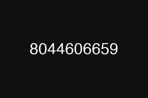 8044606659