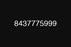 8437775999