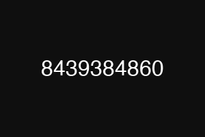 8439384860