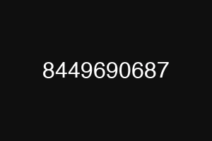 8449690687