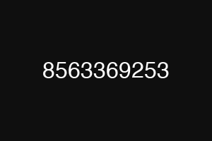 8563369253