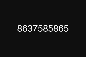 8637585865