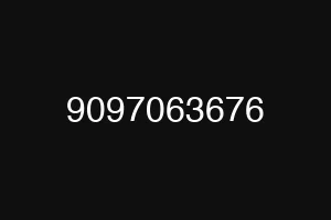 9097063676
