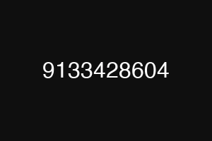 9133428604