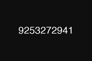 9253272941