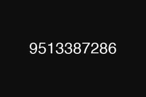 9513387286