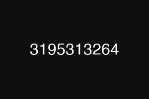 3195313264