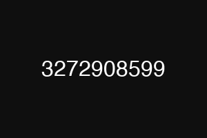 3272908599