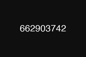 662903742