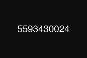 5593430024