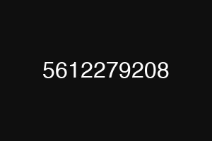 5612279208
