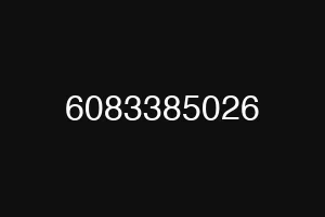 6083385026