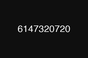 6147320720