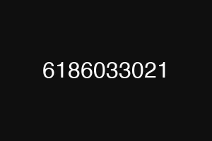 6186033021