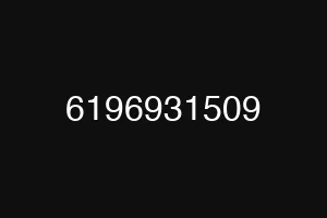 6196931509