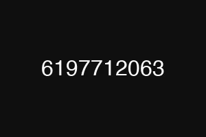 6197712063