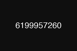 6199957260