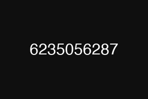 6235056287