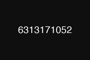 6313171052