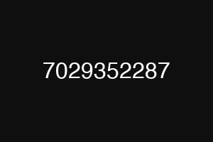 7029352287