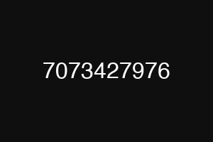 7073427976
