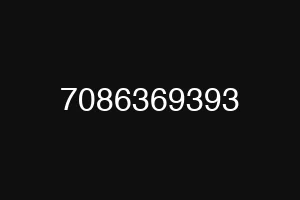7086369393