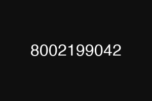 8002199042