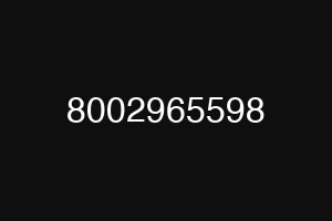 8002965598