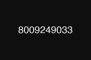 8009249033