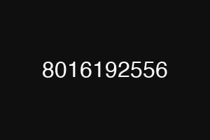 8016192556