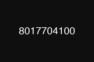 8017704100