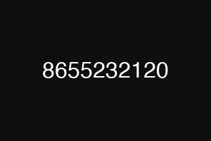 8655232120